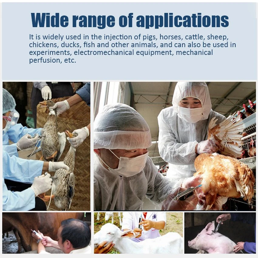 Application of veterinary stainless steel injection needle