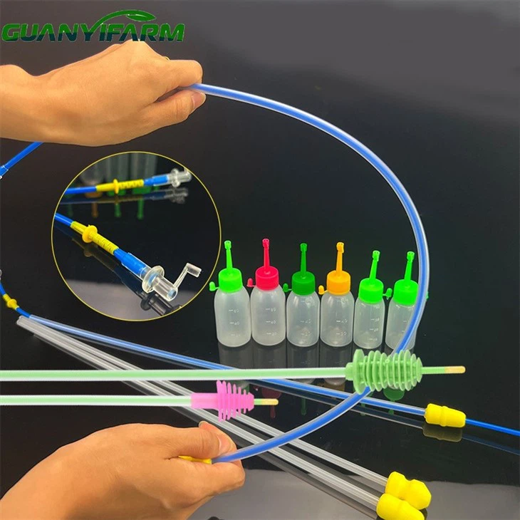 Intrazervikale Besamung für Sauen