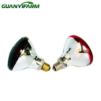 PAR38 Zuchtwärmelampe