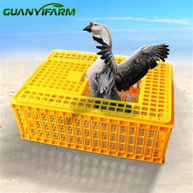 Transportbox für Hühner aus Kunststoff