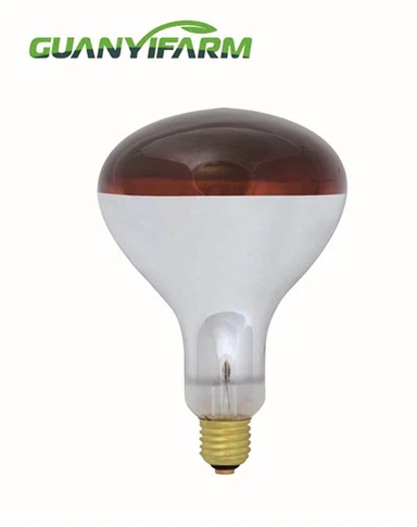 R125 Infrarotlampe für Geflügel