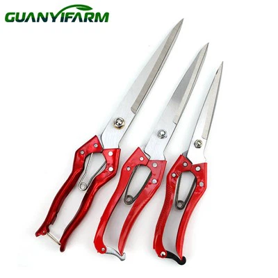 Schafwollschermaschine