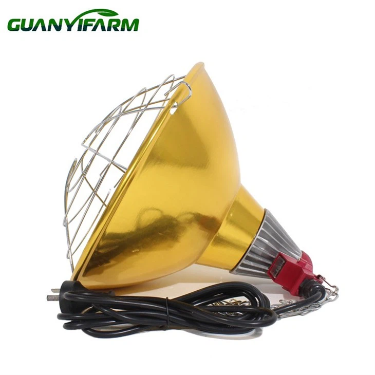 Infrarot-Wärmelampe für Welpen