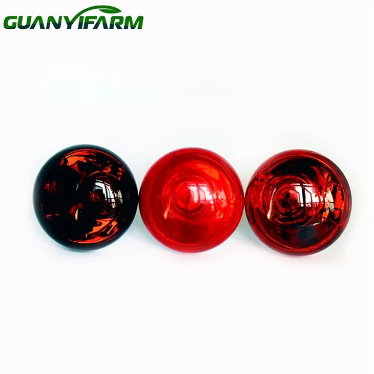 Infrarotlicht für Hühner