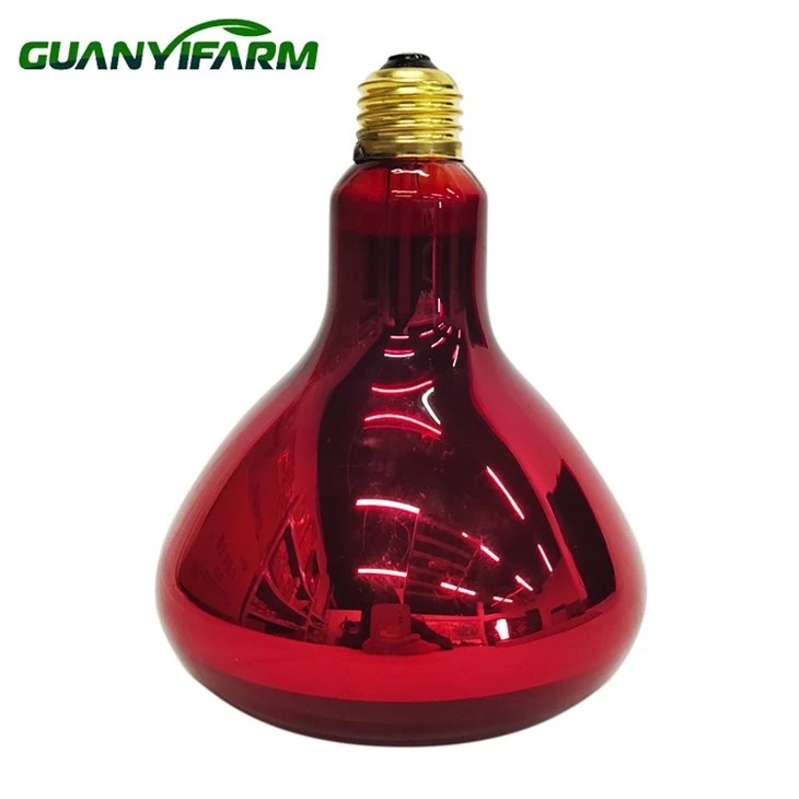 R125 Infrarot 150w