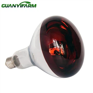 R40 120 Volt 250 Watt Infrarotlampe